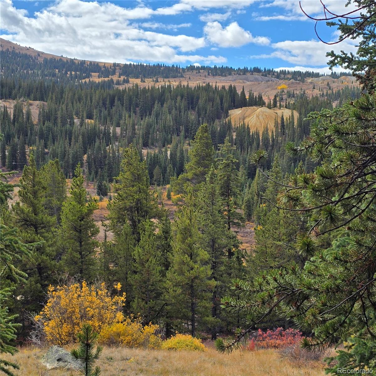5347 Monitor Lode Claims Leadville CO 80461