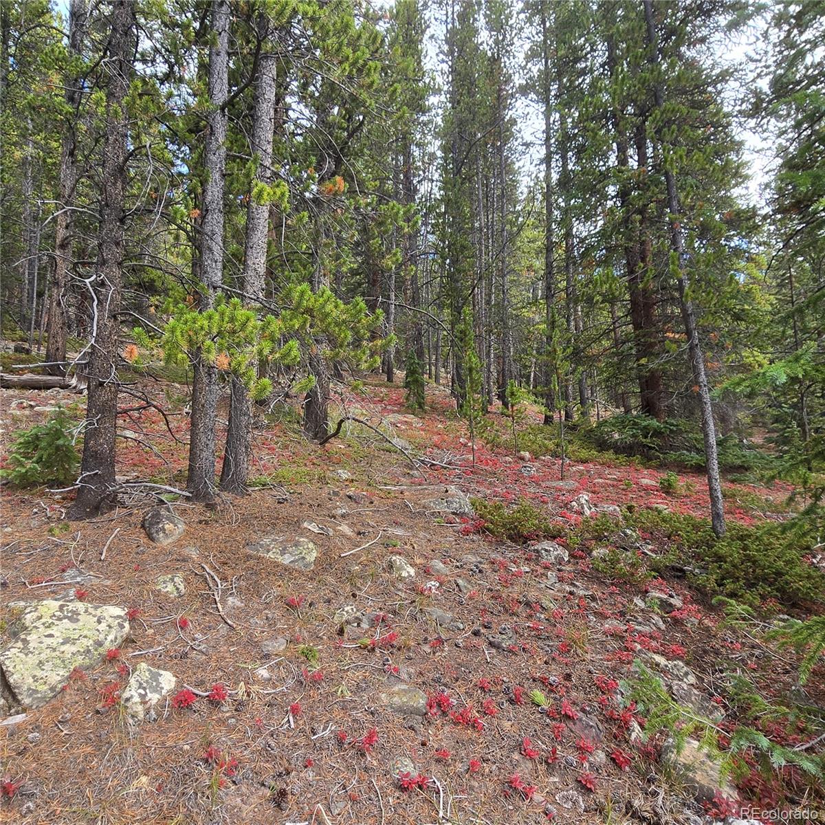 5347 Monitor Lode Claims Leadville CO 80461