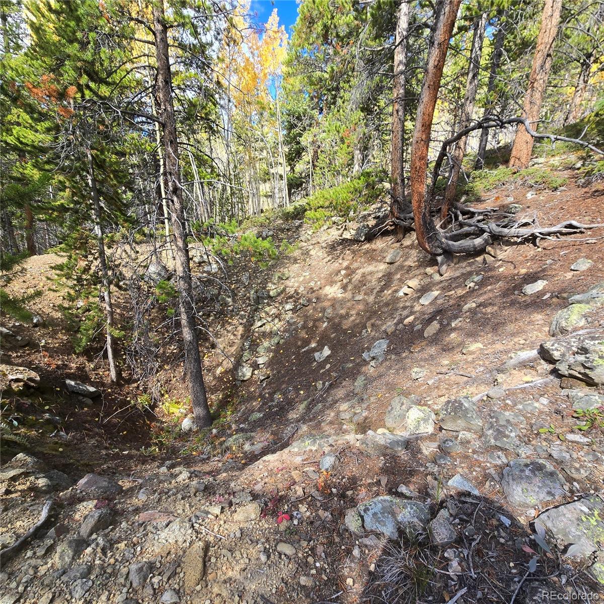 5347 Monitor Lode Claims Leadville CO 80461