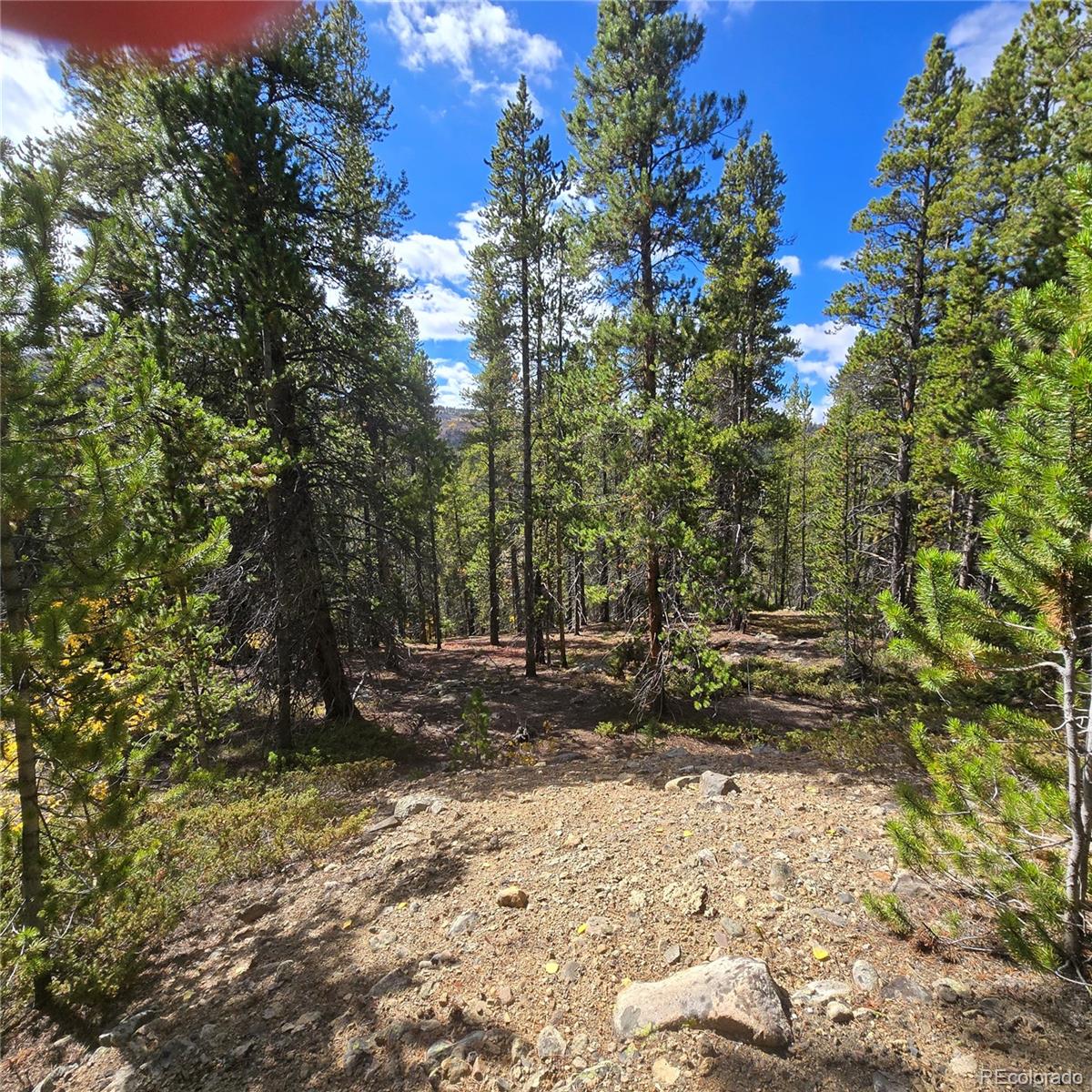 5347 Monitor Lode Claims Leadville CO 80461