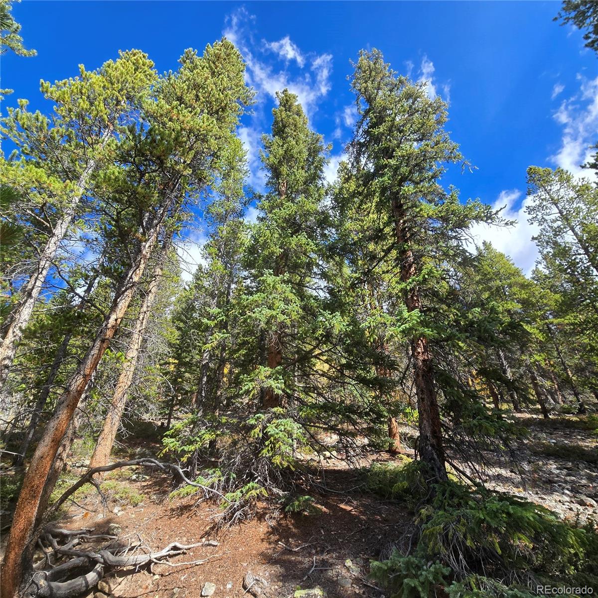 5347 Monitor Lode Claims Leadville CO 80461