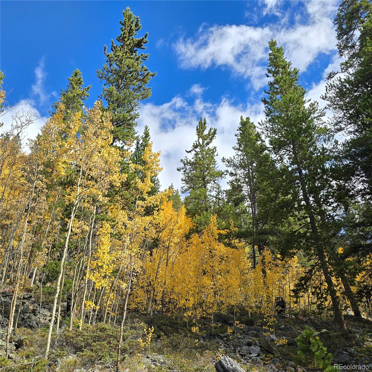 5347 Monitor Lode Claims Leadville CO 80461
