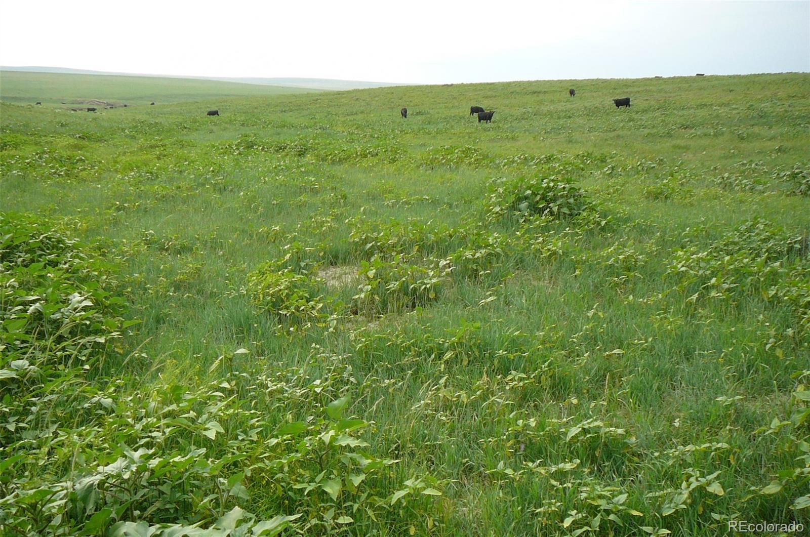 Rural Deer Trail CO 80105