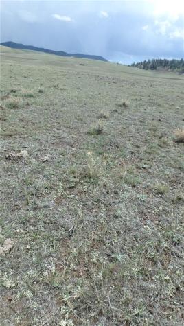 Delaware Road Hartsel CO 80449