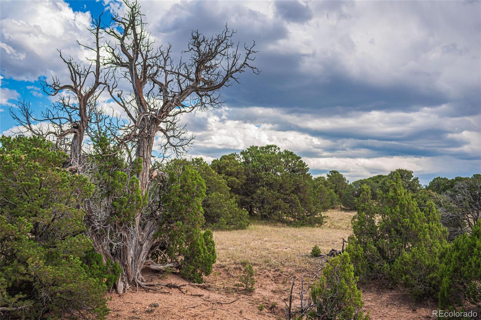 County Road 521 Walsenburg CO 81089