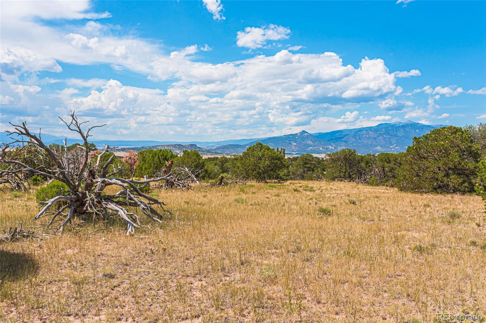 County Road 521 Walsenburg CO 81089