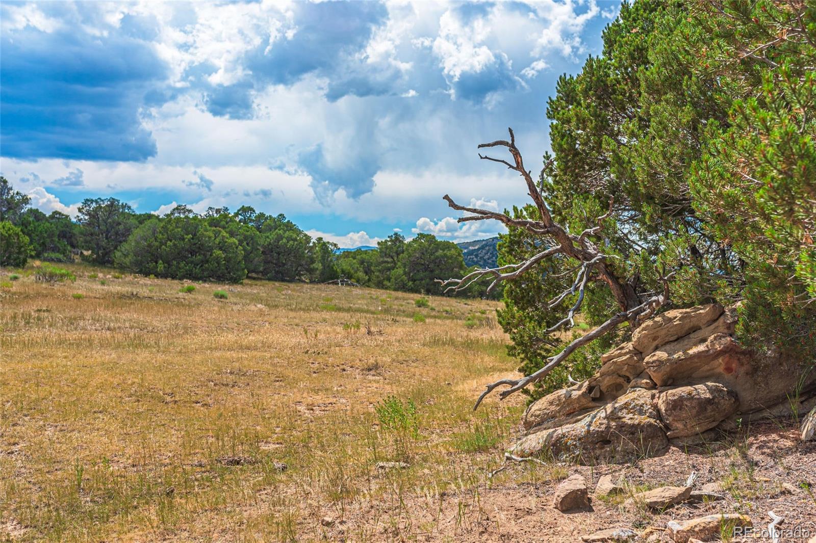 County Road 521 Walsenburg CO 81089