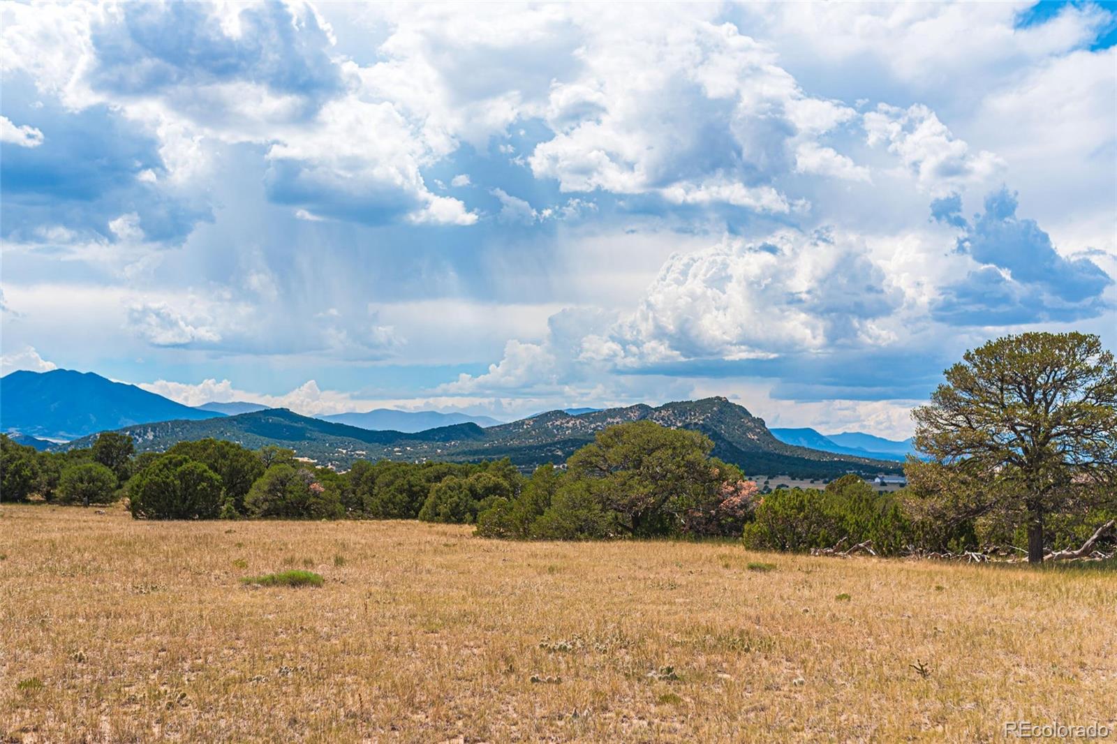 County Road 521 Walsenburg CO 81089