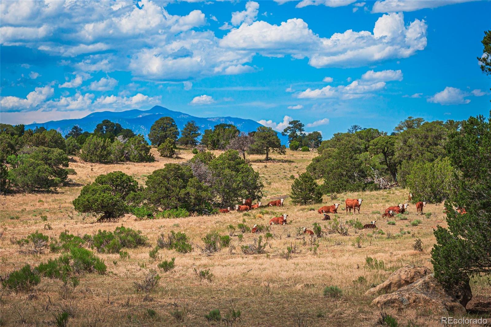 County Road 521 Walsenburg CO 81089