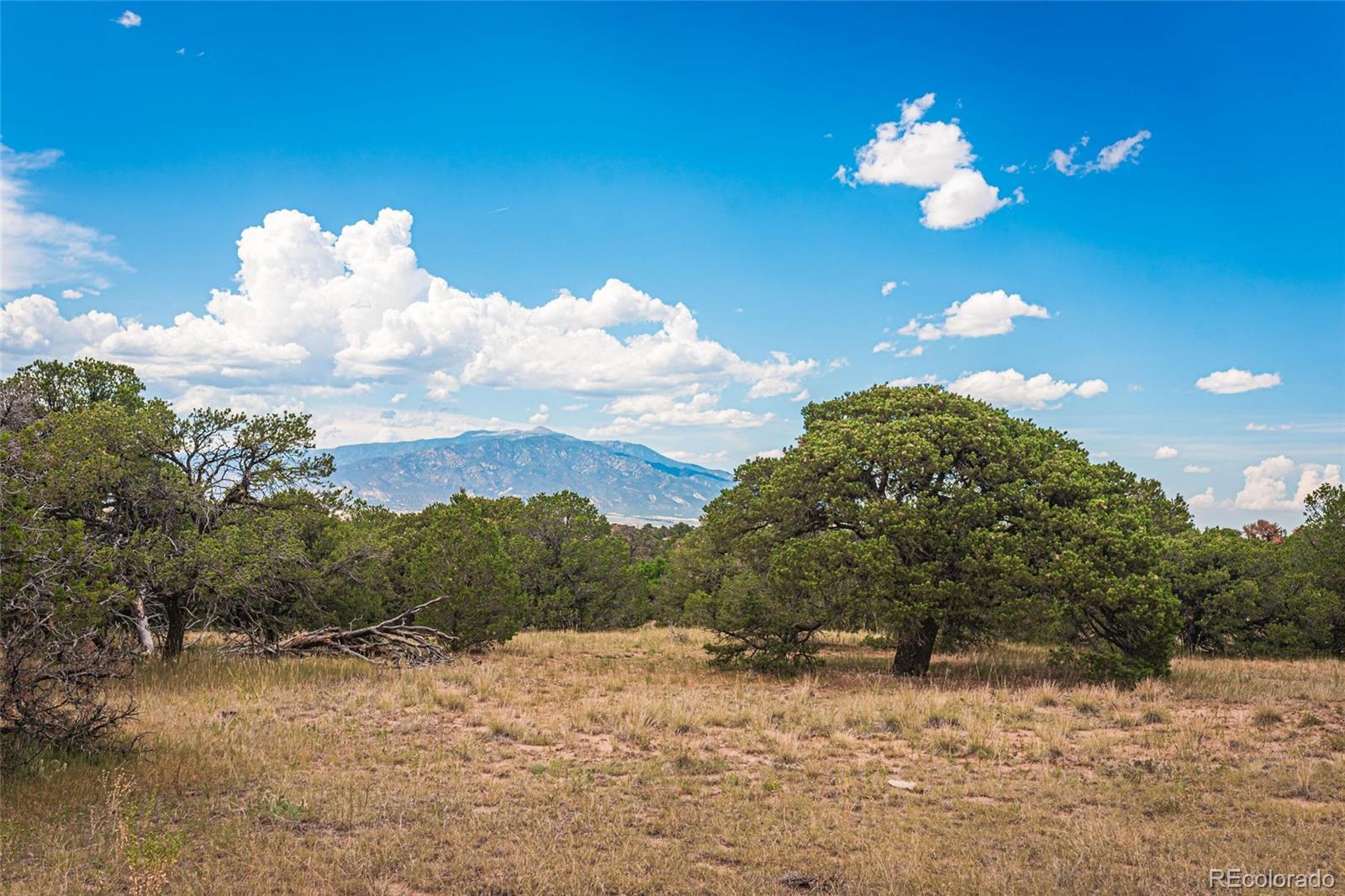 County Road 521 Walsenburg CO 81089