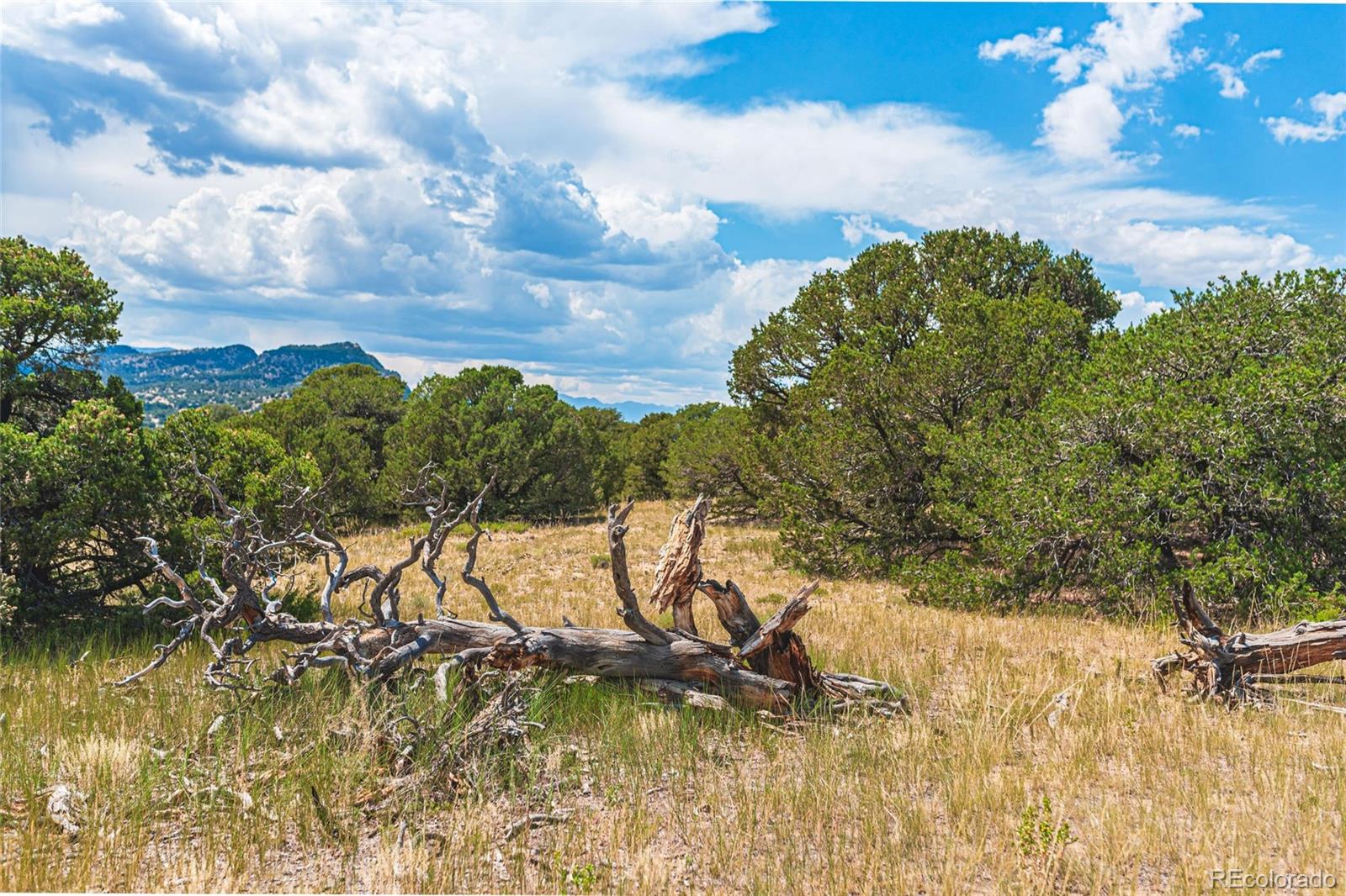 County Road 521 Walsenburg CO 81089