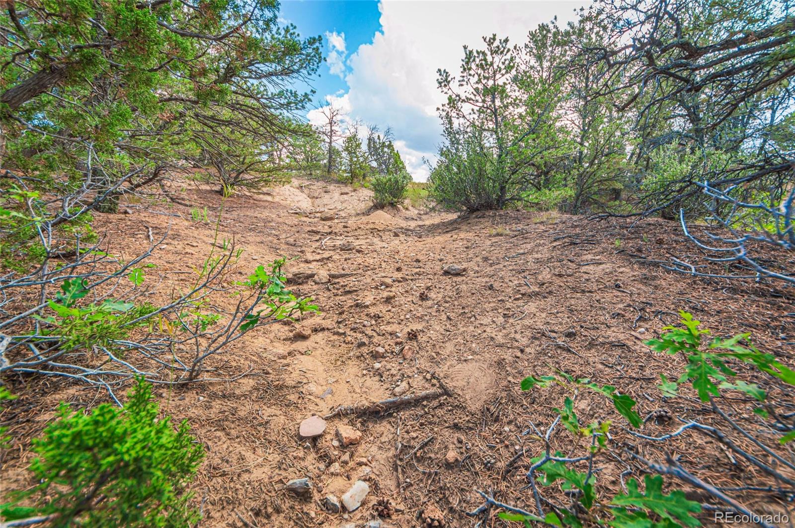 County Road 521 Walsenburg CO 81089