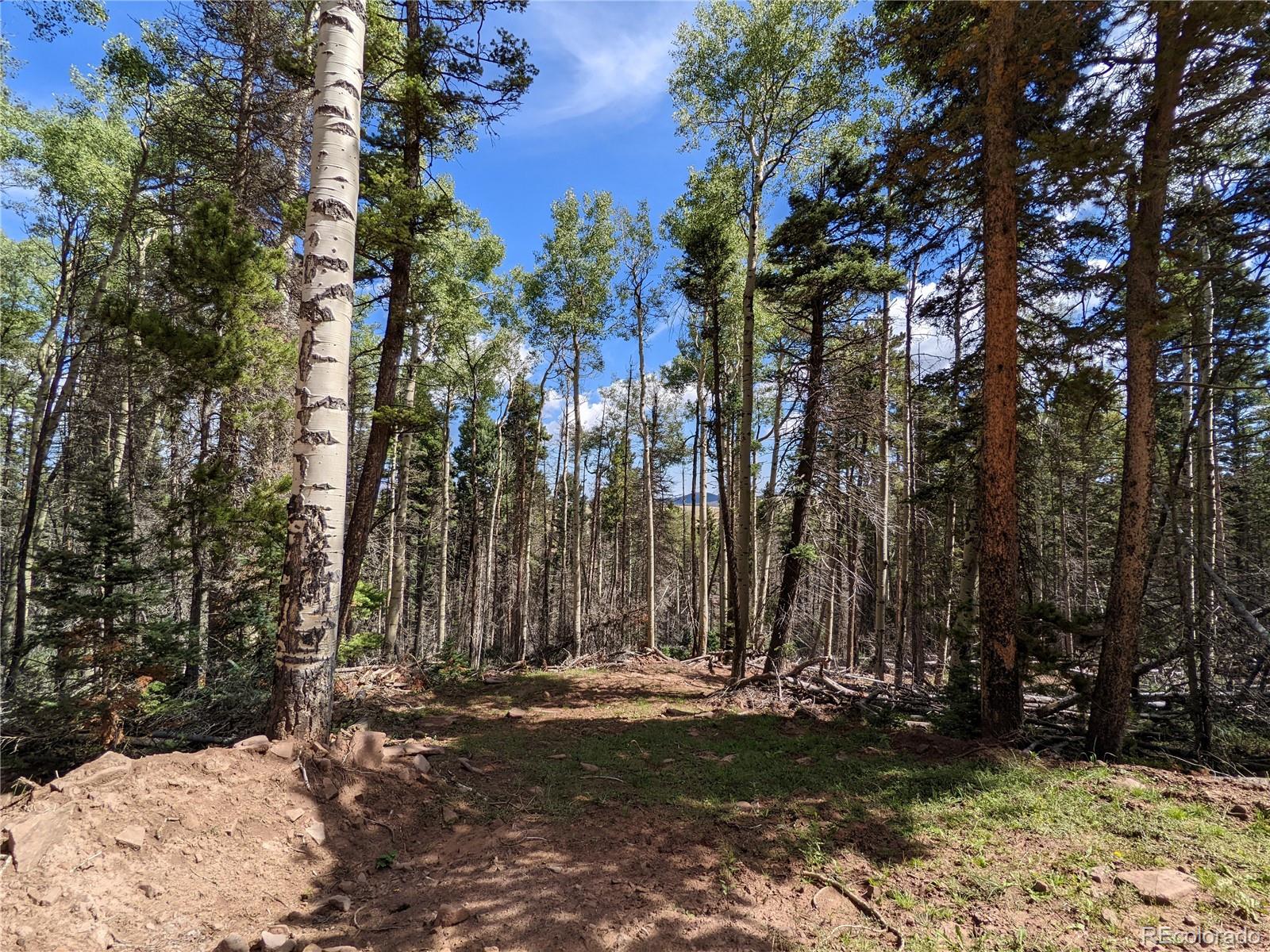 2379 Larry Place Fort Garland CO 81133