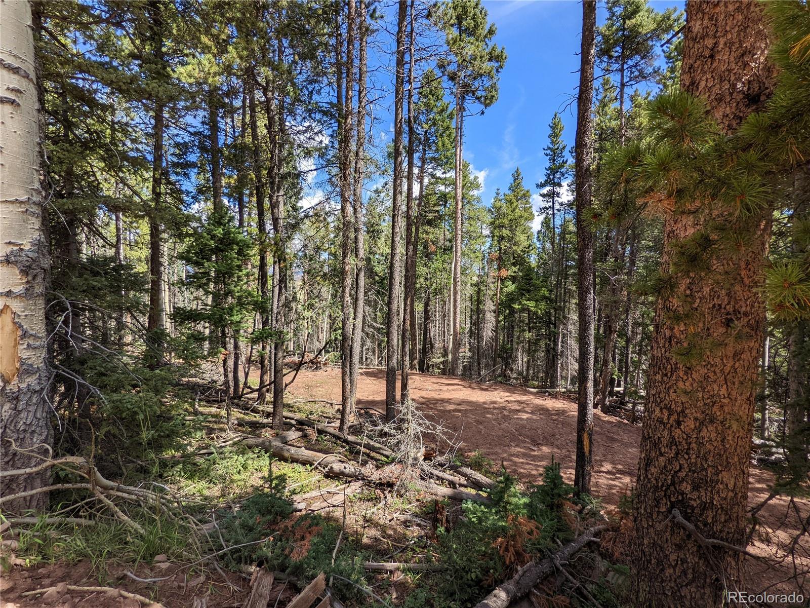 2379 Larry Place Fort Garland CO 81133
