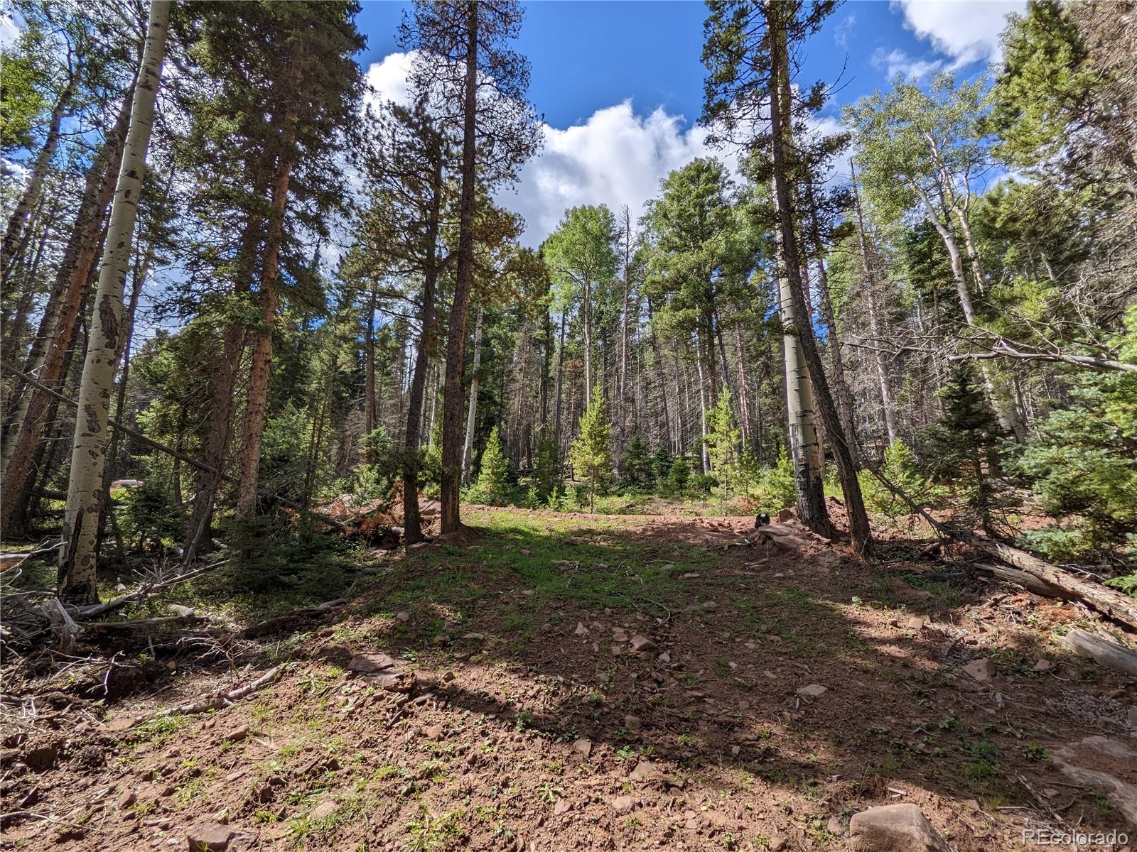 2379 Larry Place Fort Garland CO 81133