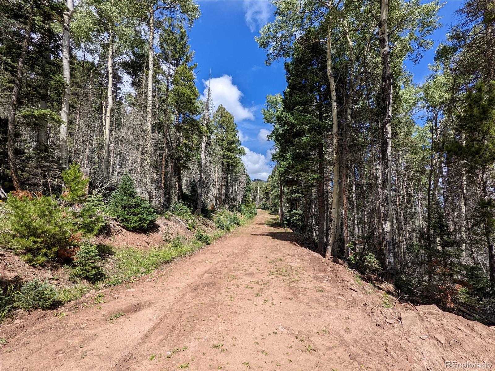 2379 Larry Place Fort Garland CO 81133