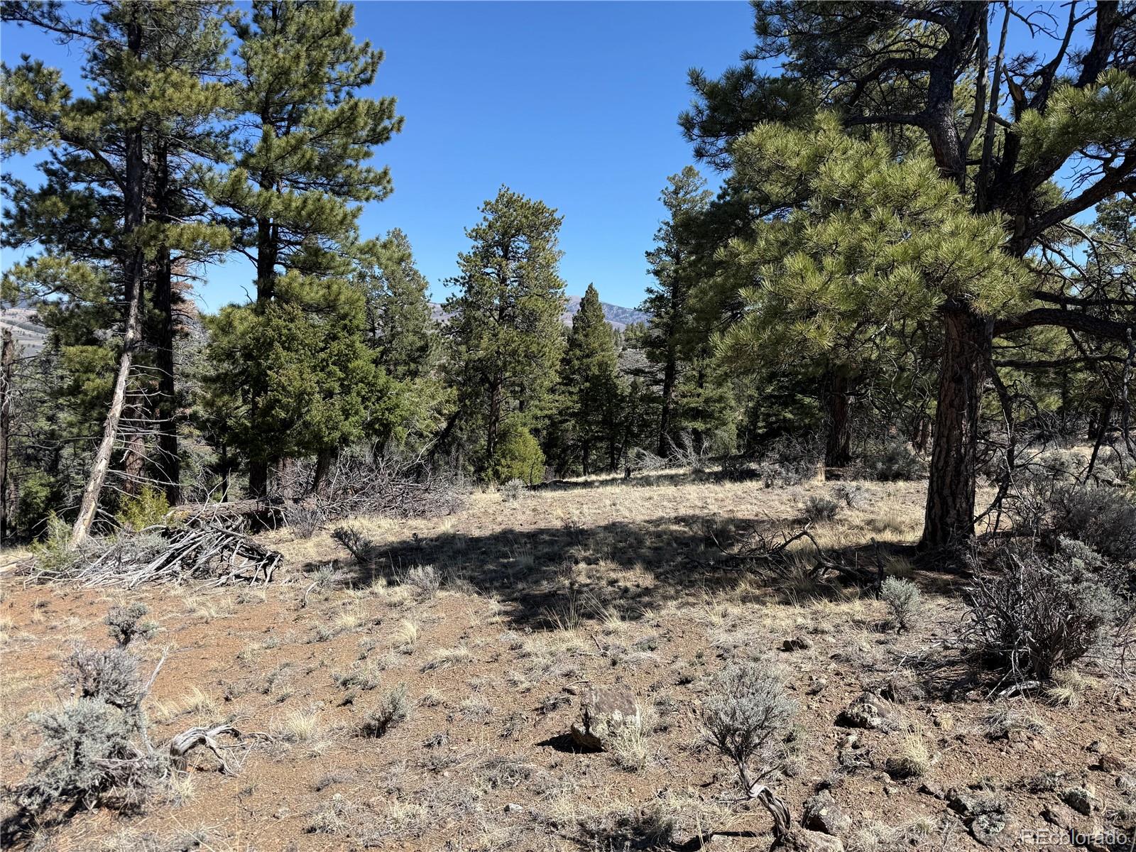 Lot 155 Tahmoush Lane Fort Garland CO 81133