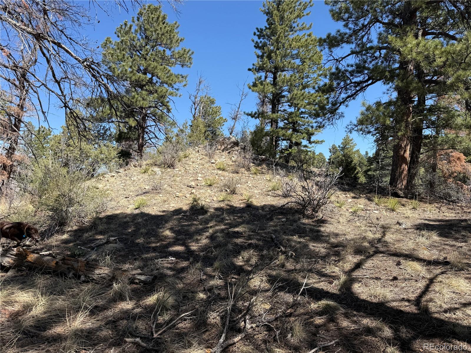 Lot 155 Tahmoush Lane Fort Garland CO 81133