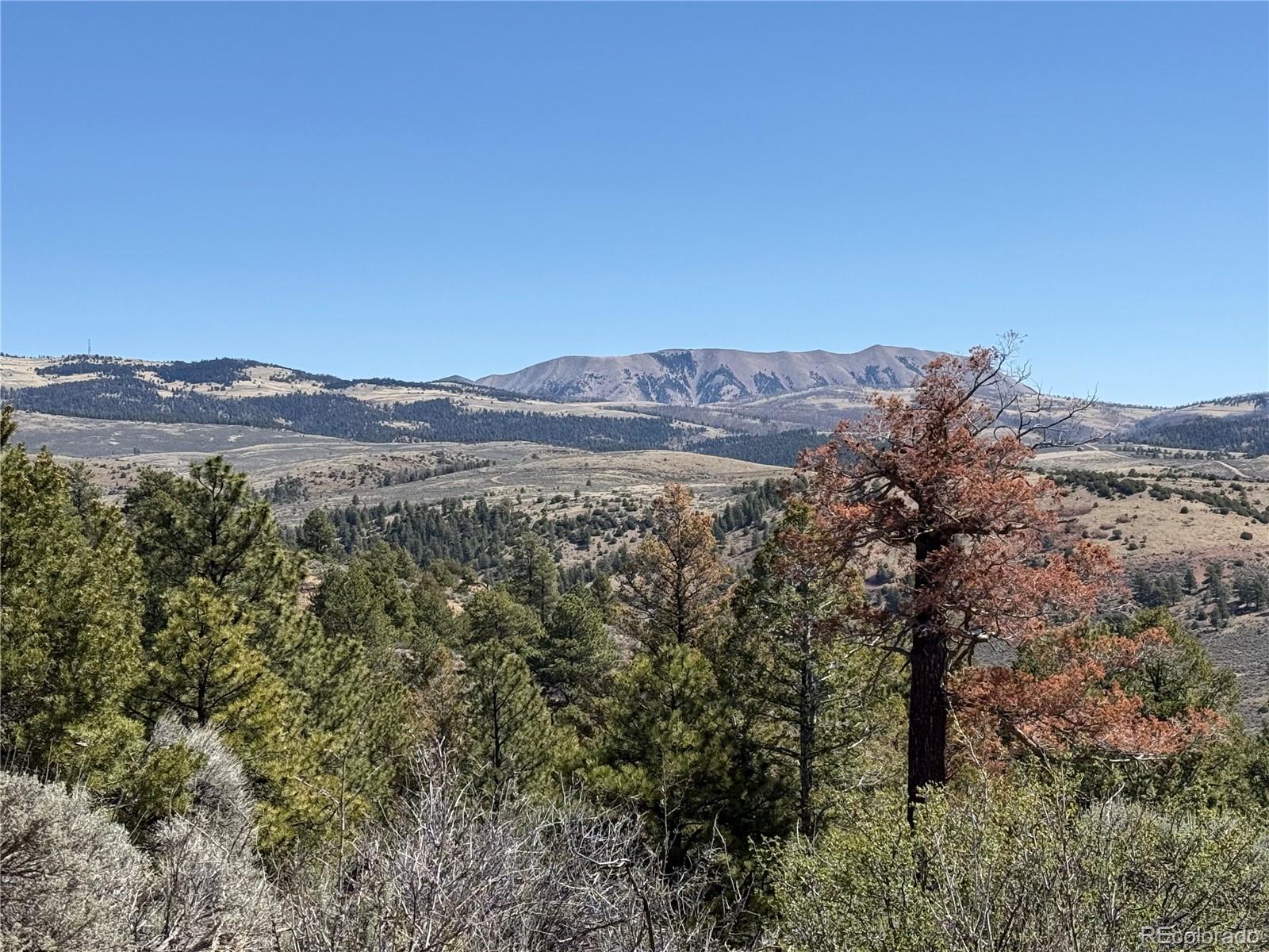 Lot 155 Tahmoush Lane Fort Garland CO 81133