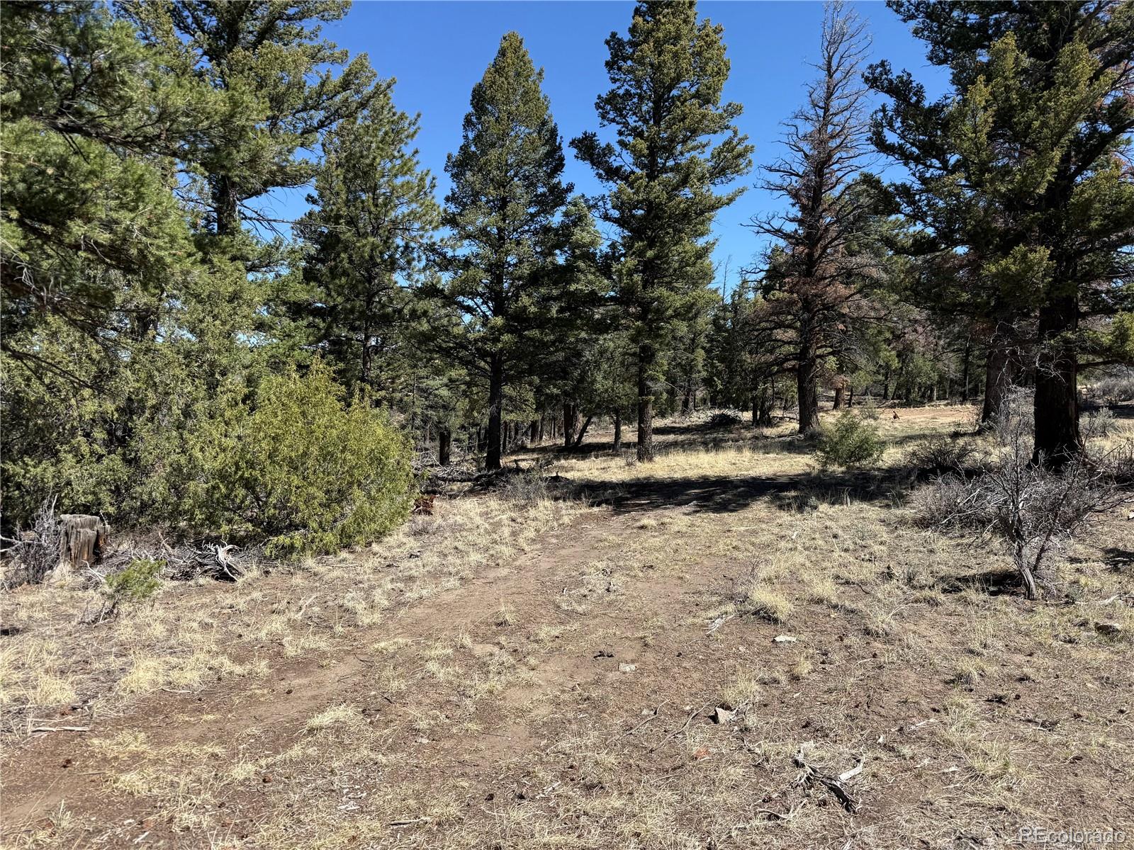 Lot 155 Tahmoush Lane Fort Garland CO 81133