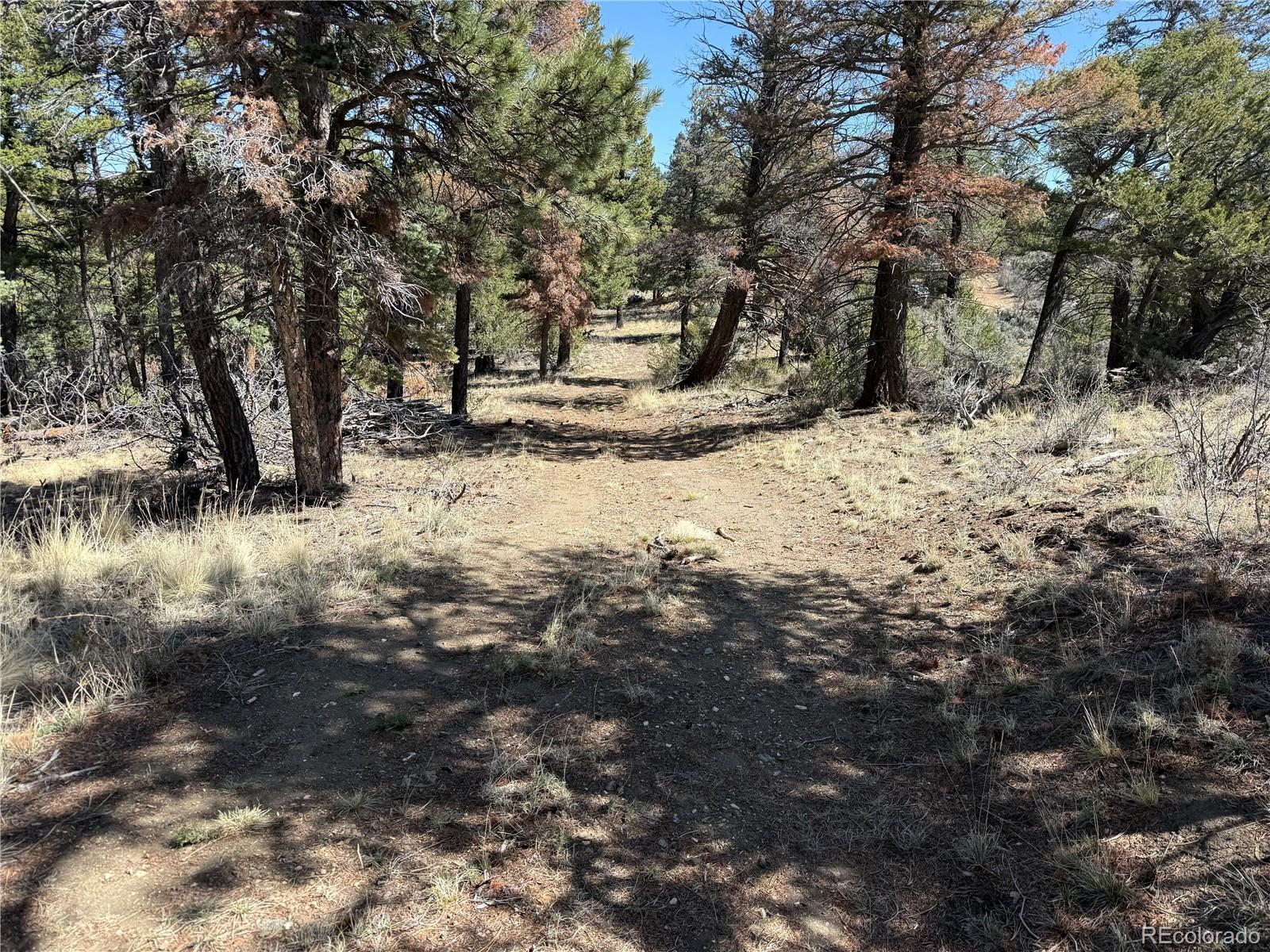 Lot 155 Tahmoush Lane Fort Garland CO 81133