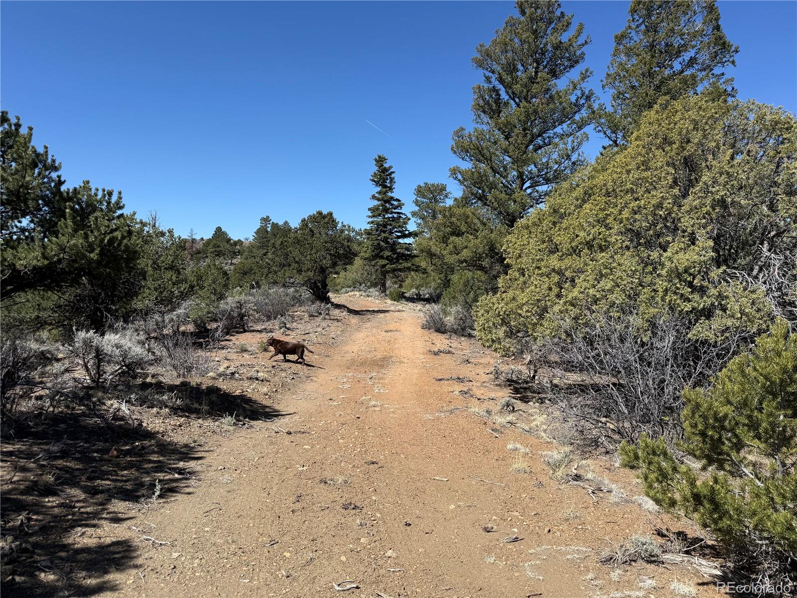 Lot 155 Tahmoush Lane Fort Garland CO 81133