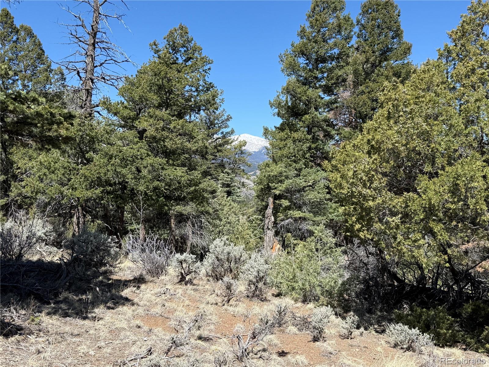 Lot 155 Tahmoush Lane Fort Garland CO 81133