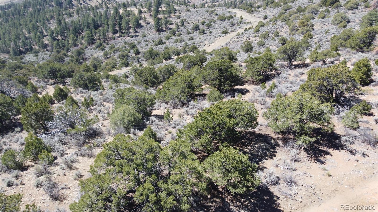 Lot 155 Tahmoush Lane Fort Garland CO 81133