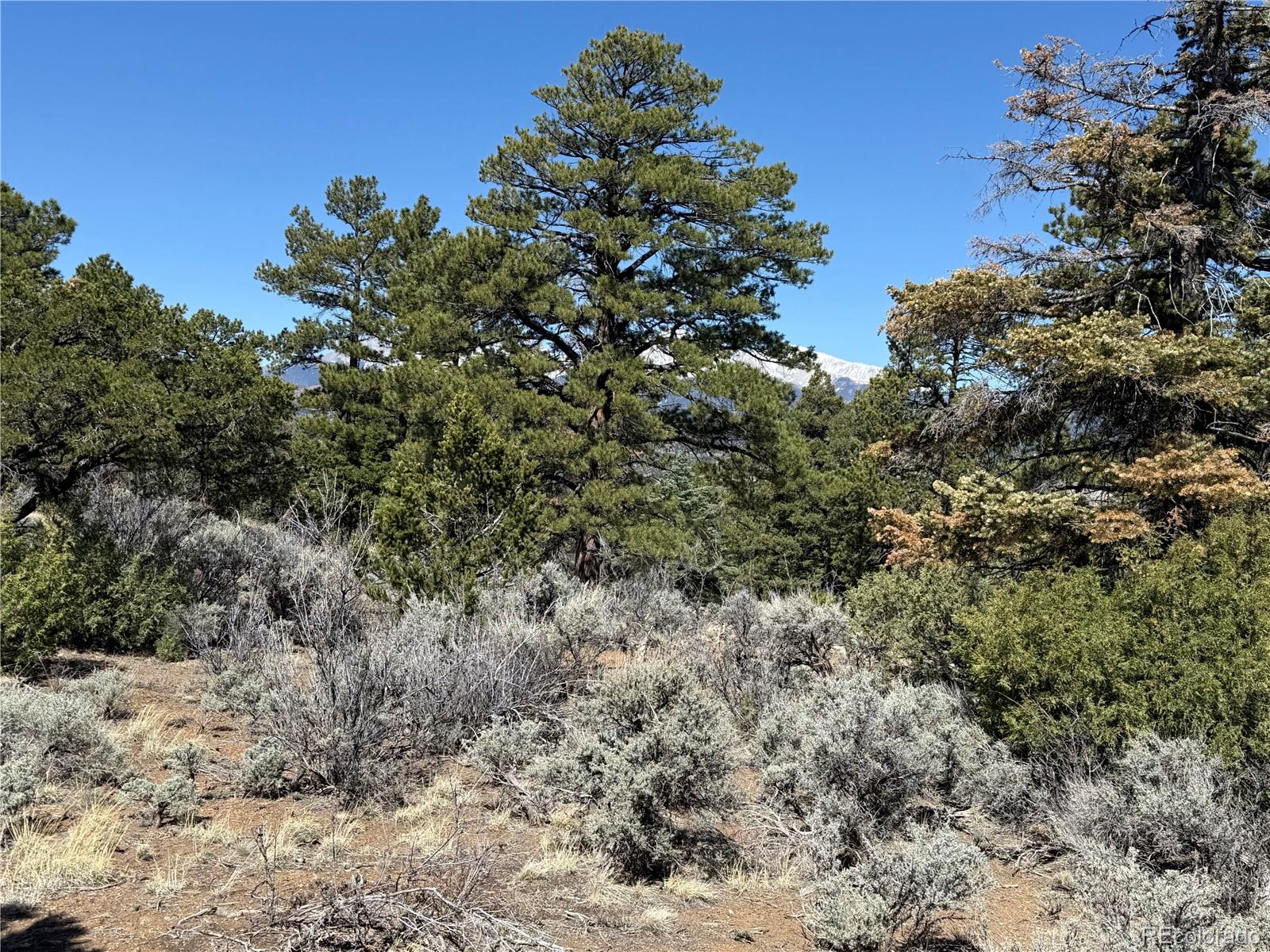 Lot 155 Tahmoush Lane Fort Garland CO 81133