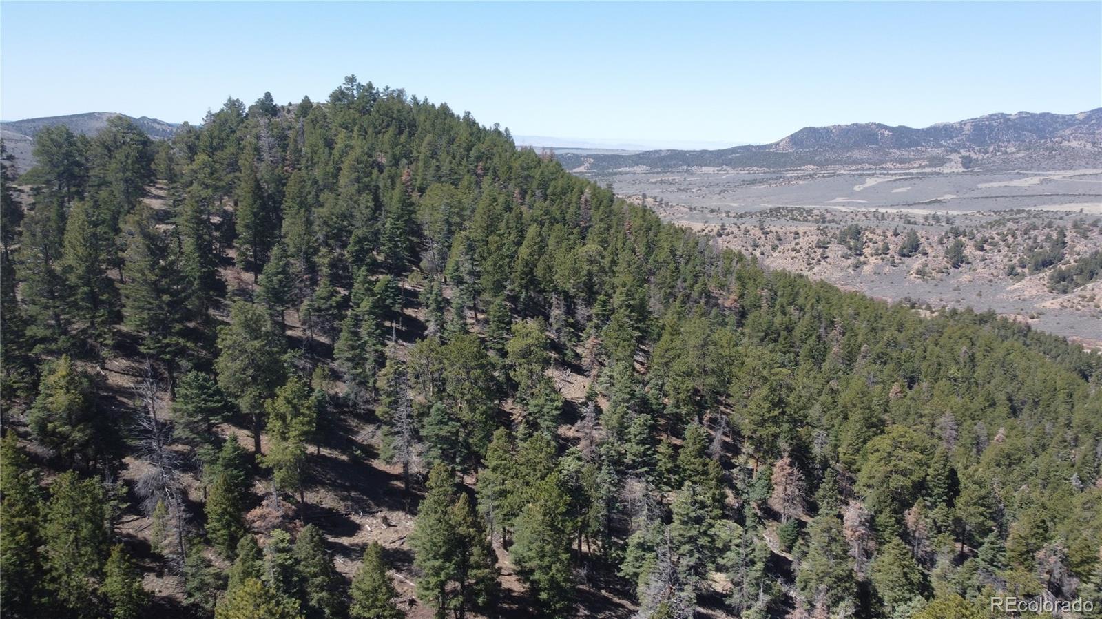 Lot 155 Tahmoush Lane Fort Garland CO 81133