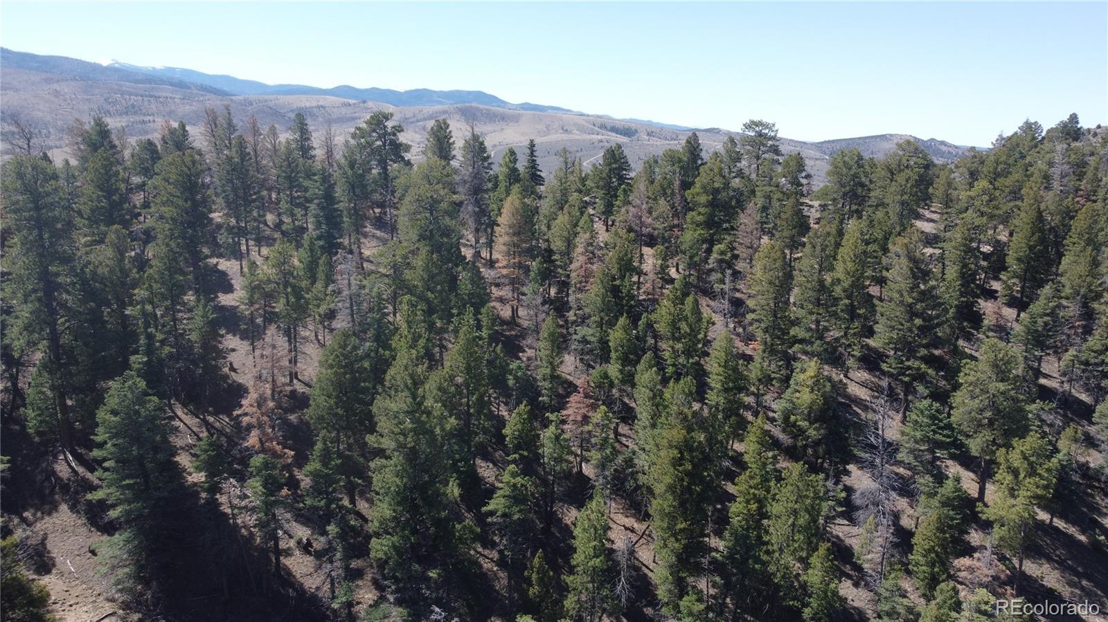 Lot 155 Tahmoush Lane Fort Garland CO 81133