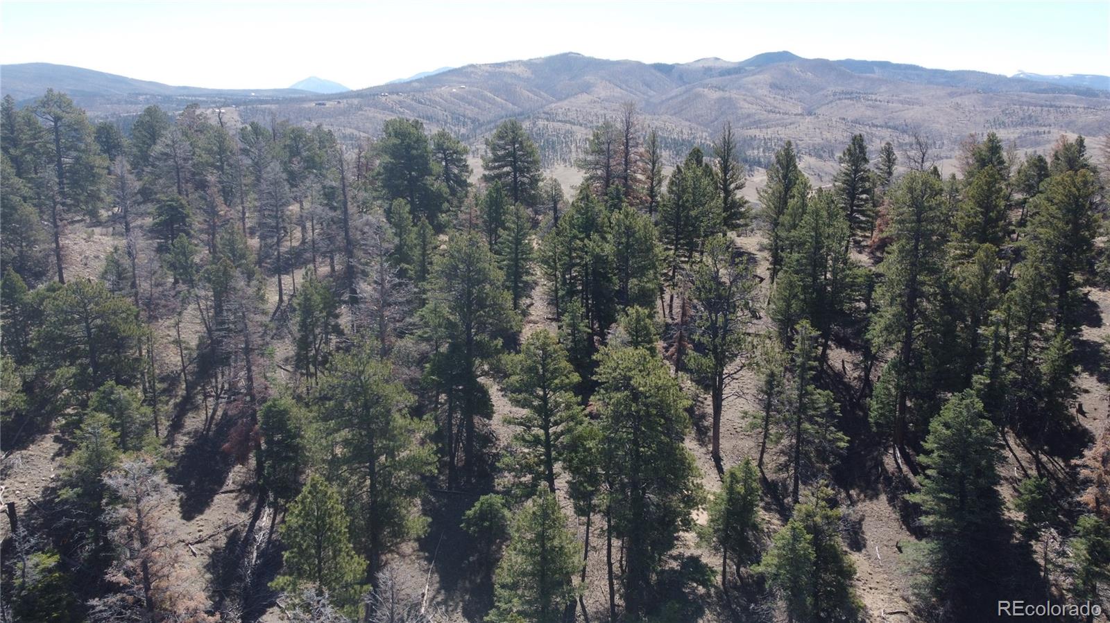 Lot 155 Tahmoush Lane Fort Garland CO 81133