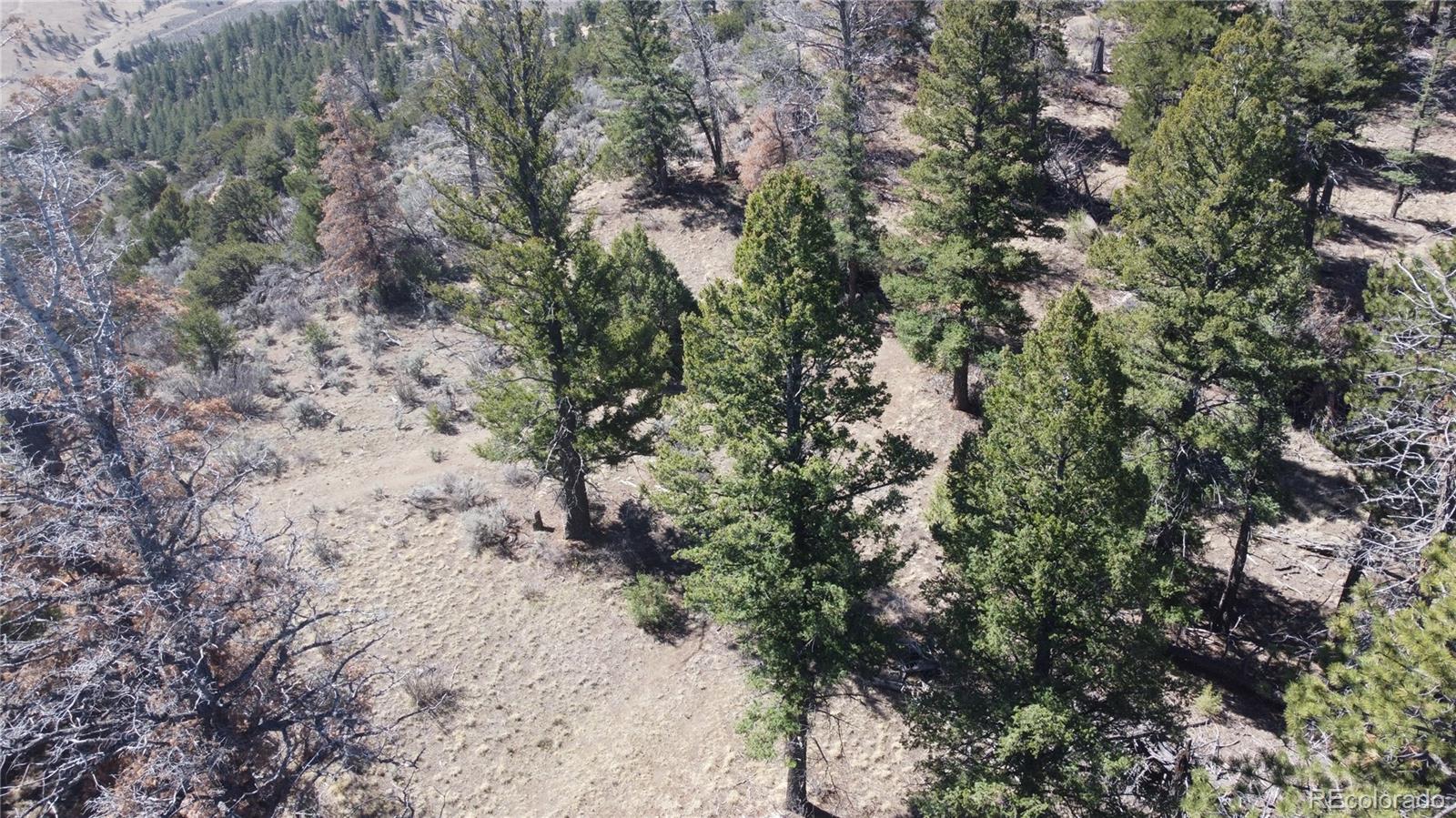 Lot 155 Tahmoush Lane Fort Garland CO 81133