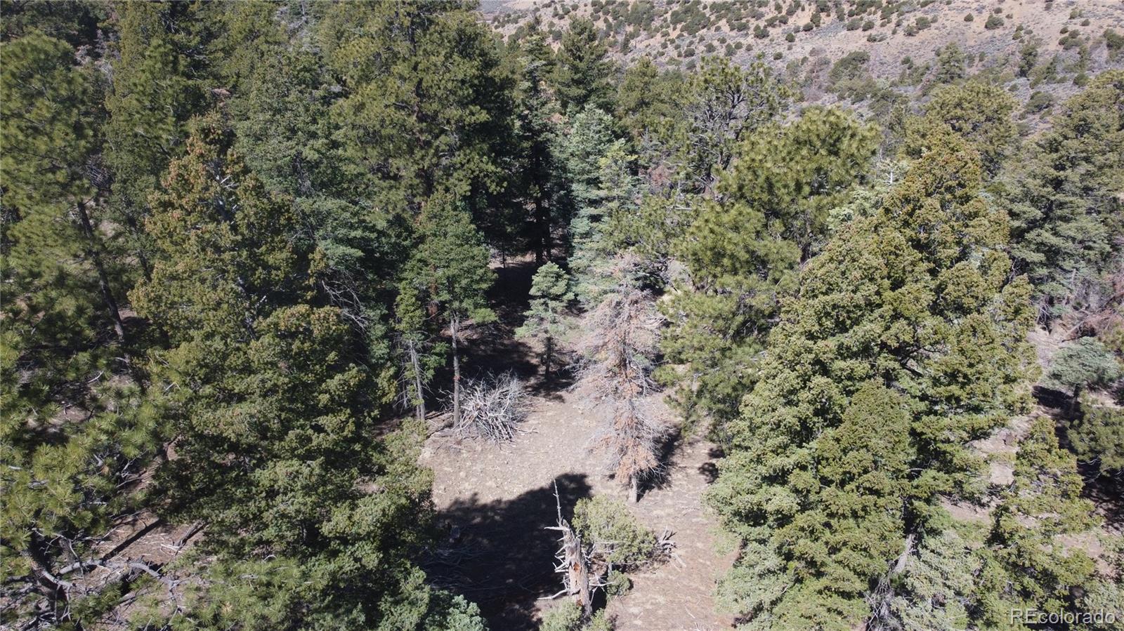 Lot 155 Tahmoush Lane Fort Garland CO 81133