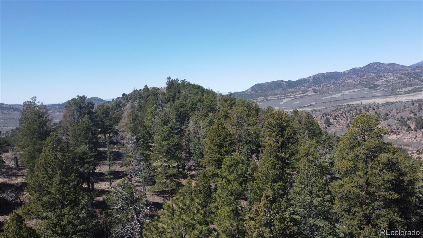 Lot 155 Tahmoush Lane Fort Garland CO 81133