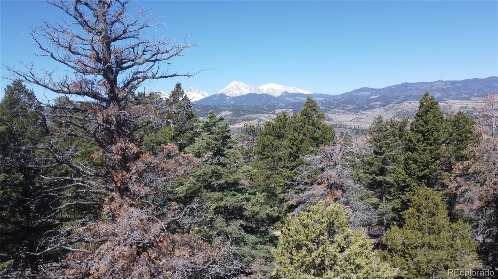 Lot 155 Tahmoush Lane Fort Garland CO 81133