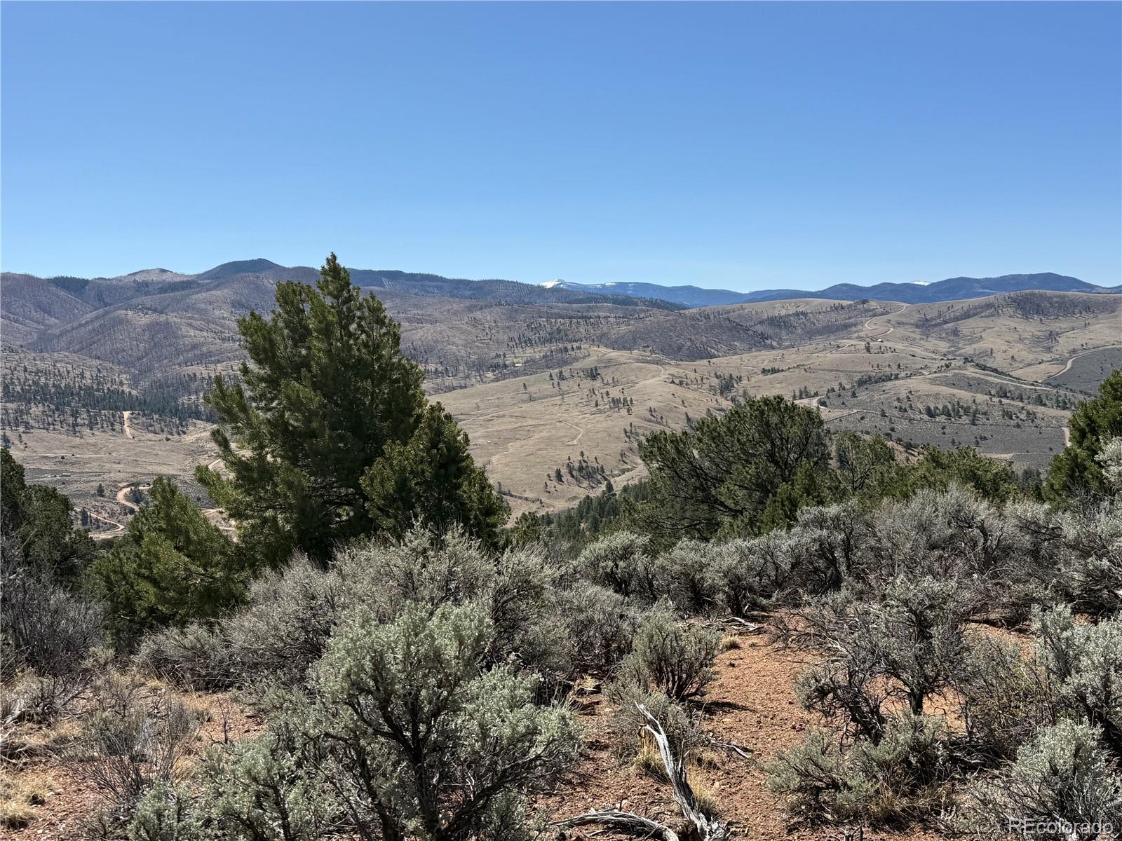 Lot 155 Tahmoush Lane Fort Garland CO 81133