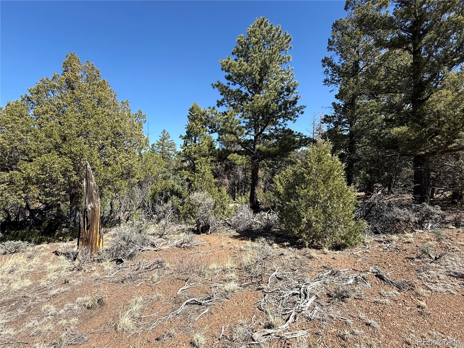 Lot 155 Tahmoush Lane Fort Garland CO 81133