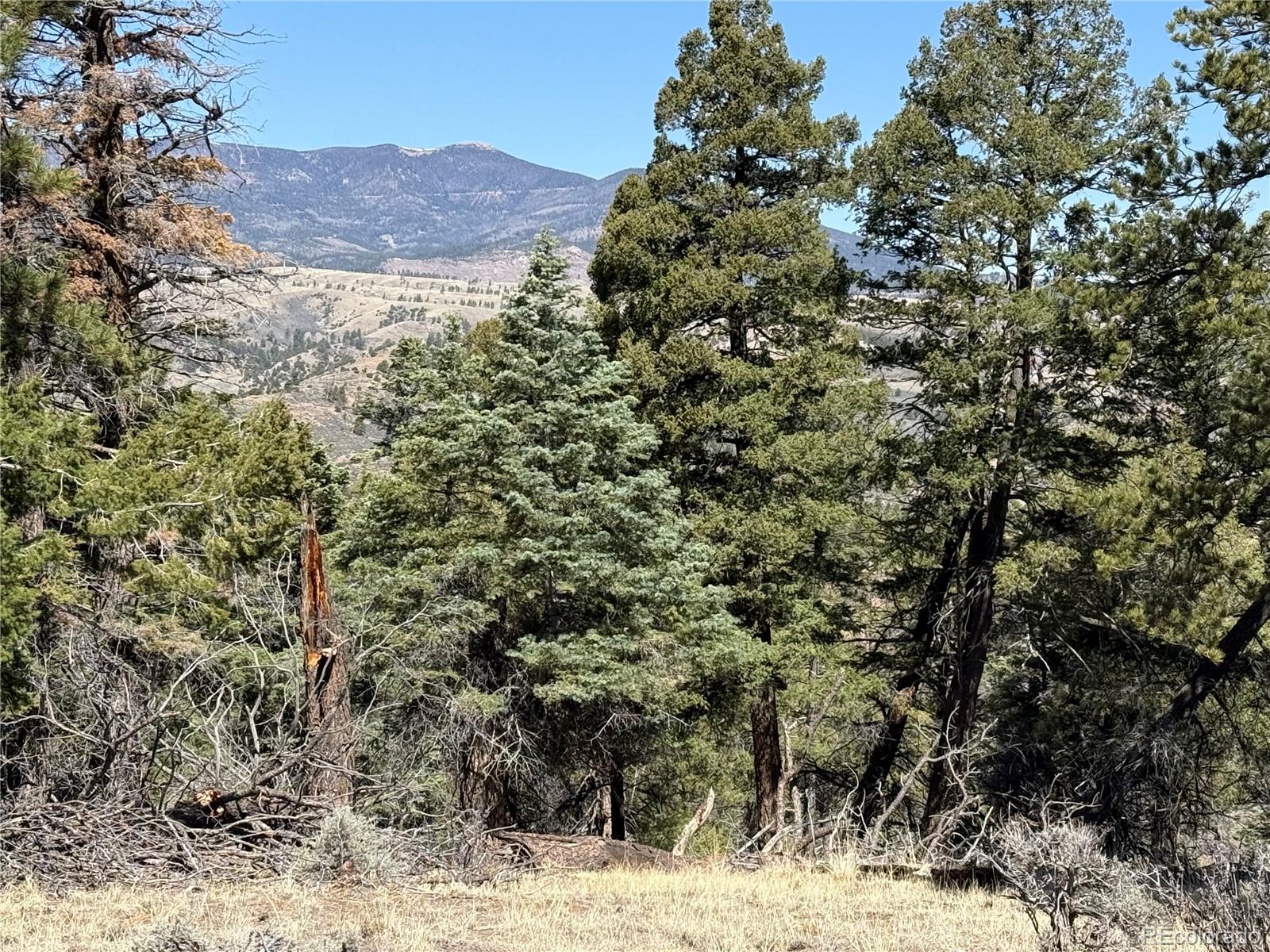 Lot 155 Tahmoush Lane Fort Garland CO 81133