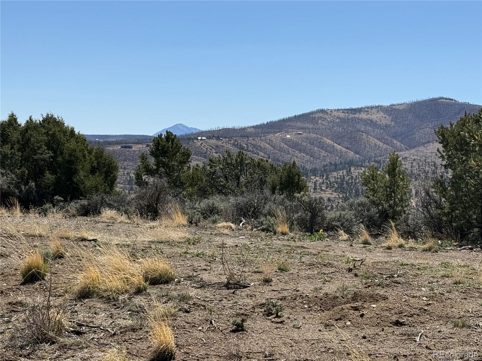 Lot 155 Tahmoush Lane Fort Garland CO 81133
