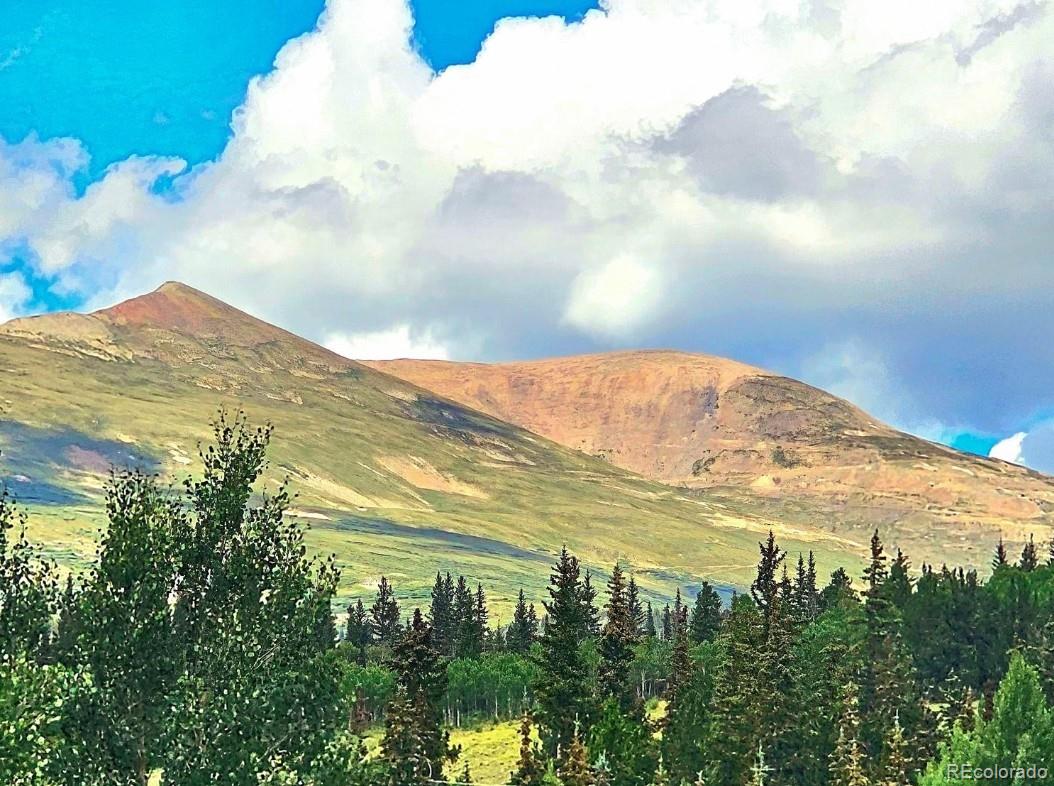 295 Silver Plume Road Fairplay CO 80440