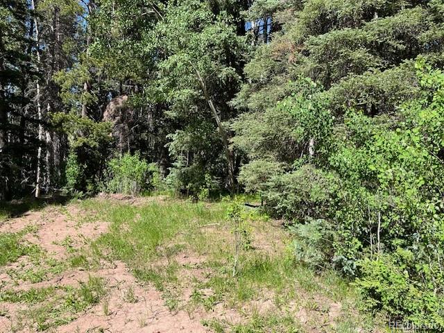 Lot 2893 Coder Place Fort Garland CO 81133
