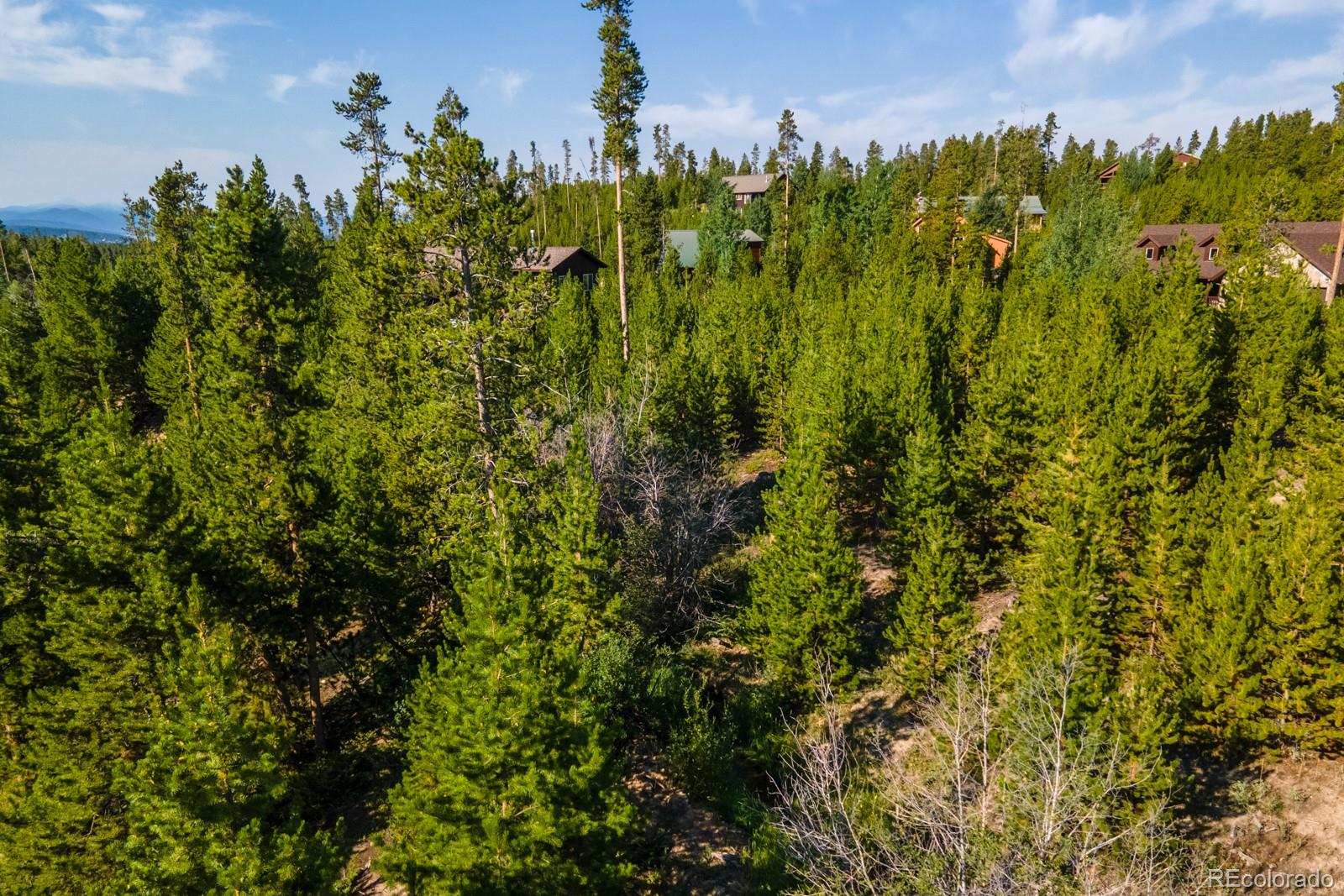 493 Trail Ridge Drive Grand Lake CO 80447