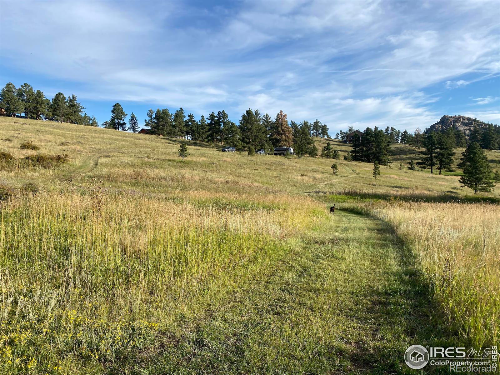 78 Mount Champion Drive Livermore CO 80536
