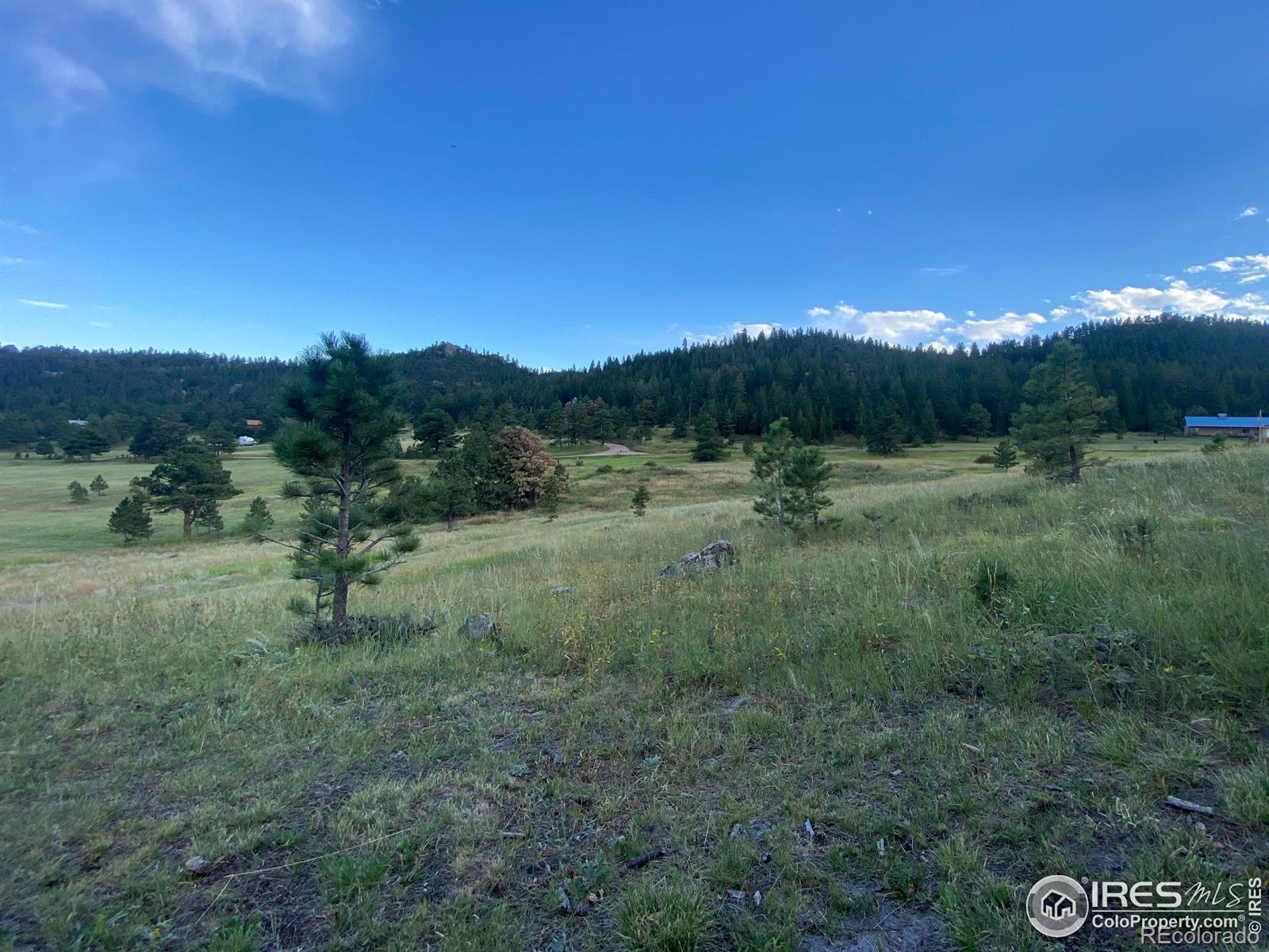 78 Mount Champion Drive Livermore CO 80536