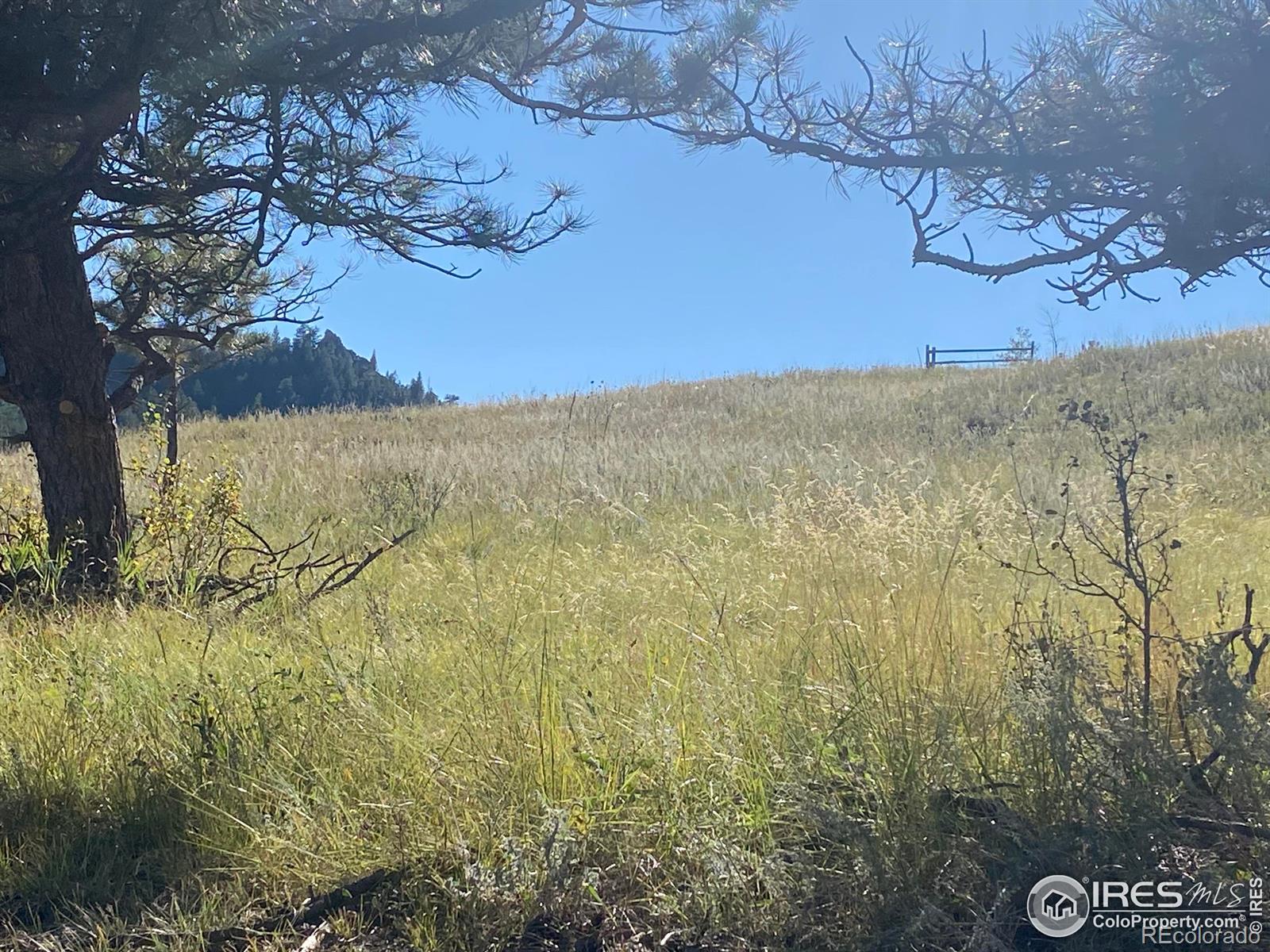 78 Mount Champion Drive Livermore CO 80536