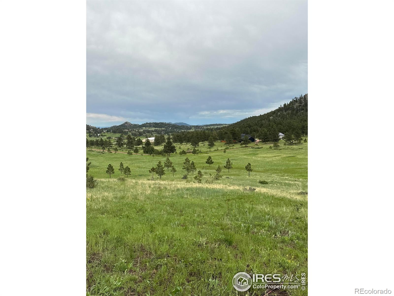 78 Mount Champion Drive Livermore CO 80536