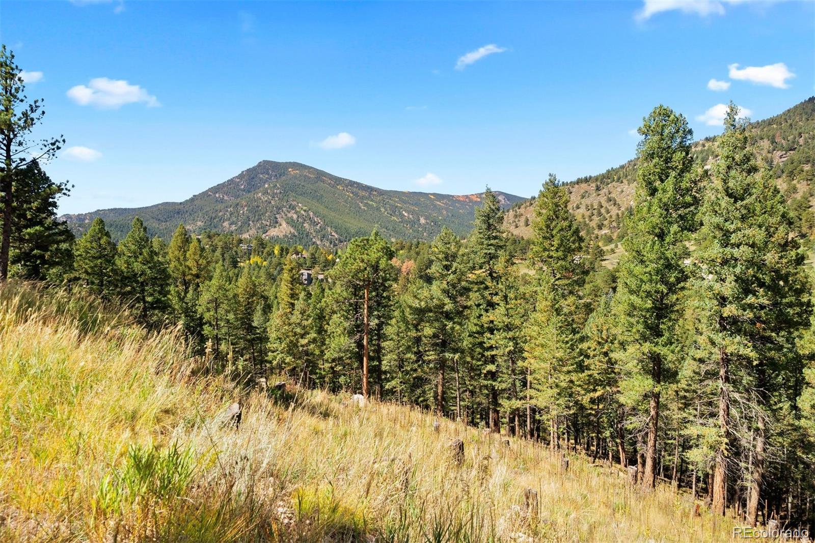 Lot 83 Conifer Drive Evergreen CO 80439