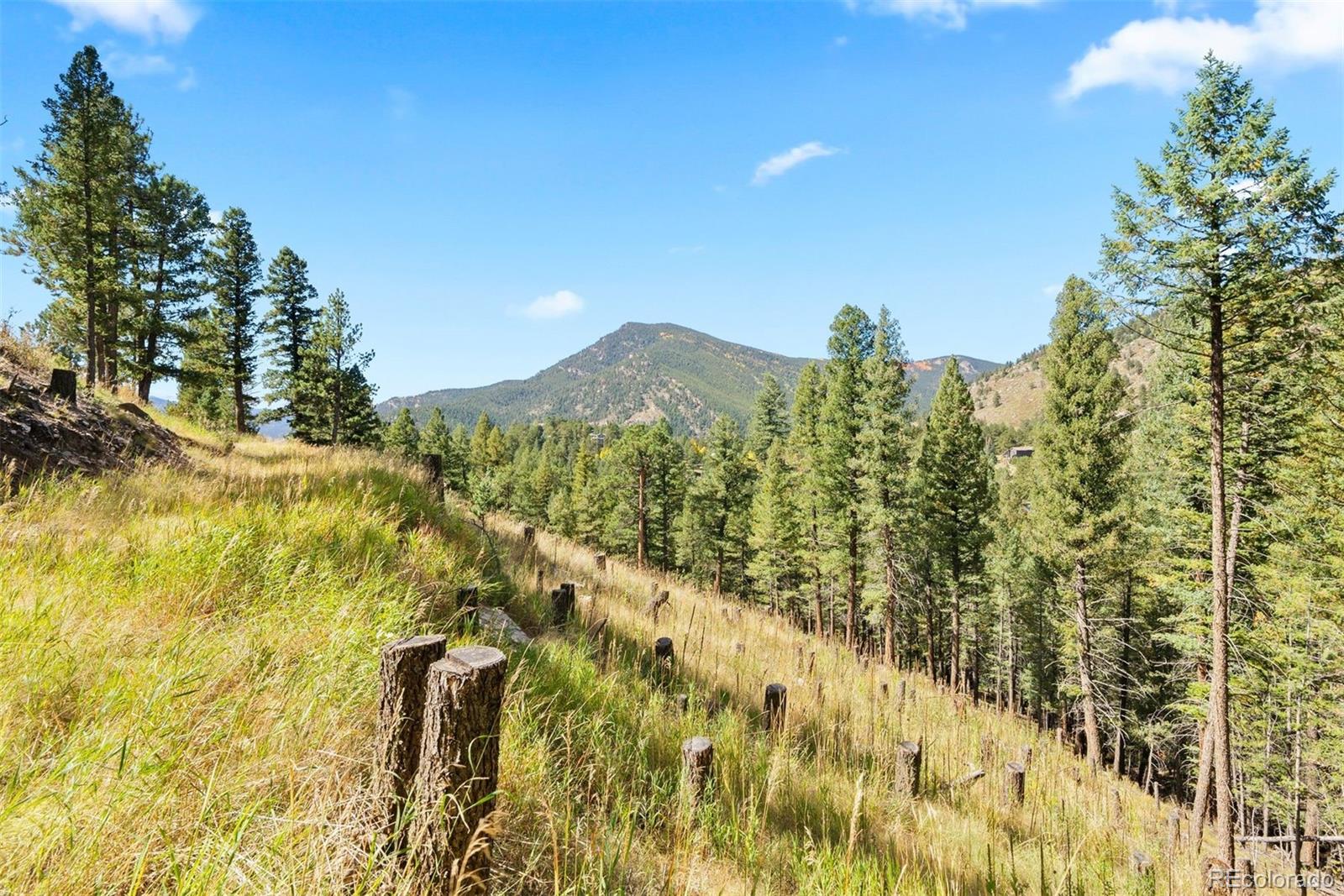 Lot 83 Conifer Drive Evergreen CO 80439