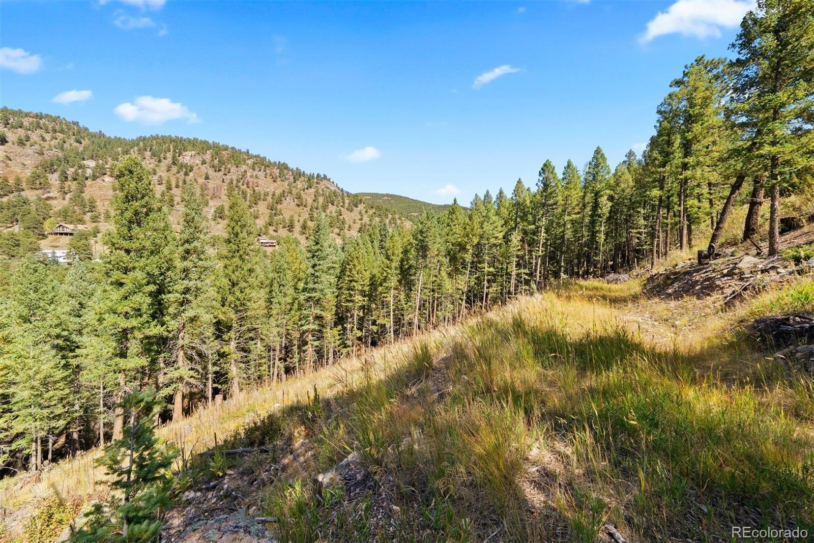 Lot 83 Conifer Drive Evergreen CO 80439